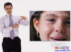 PowerPoint基础教程:利用图片排出